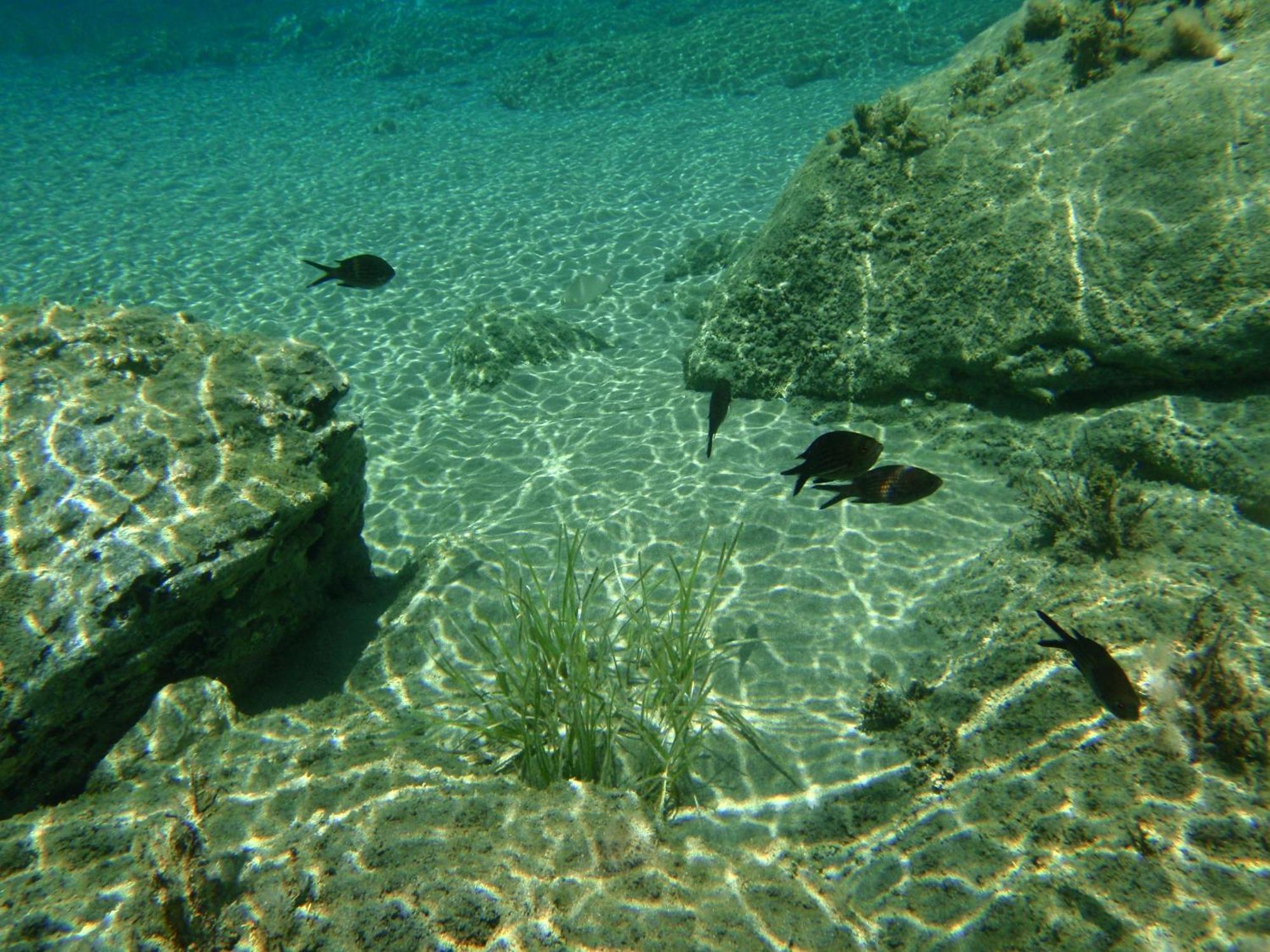 Filoxenia By Grispos Villas Schoinoussa Bagian luar foto