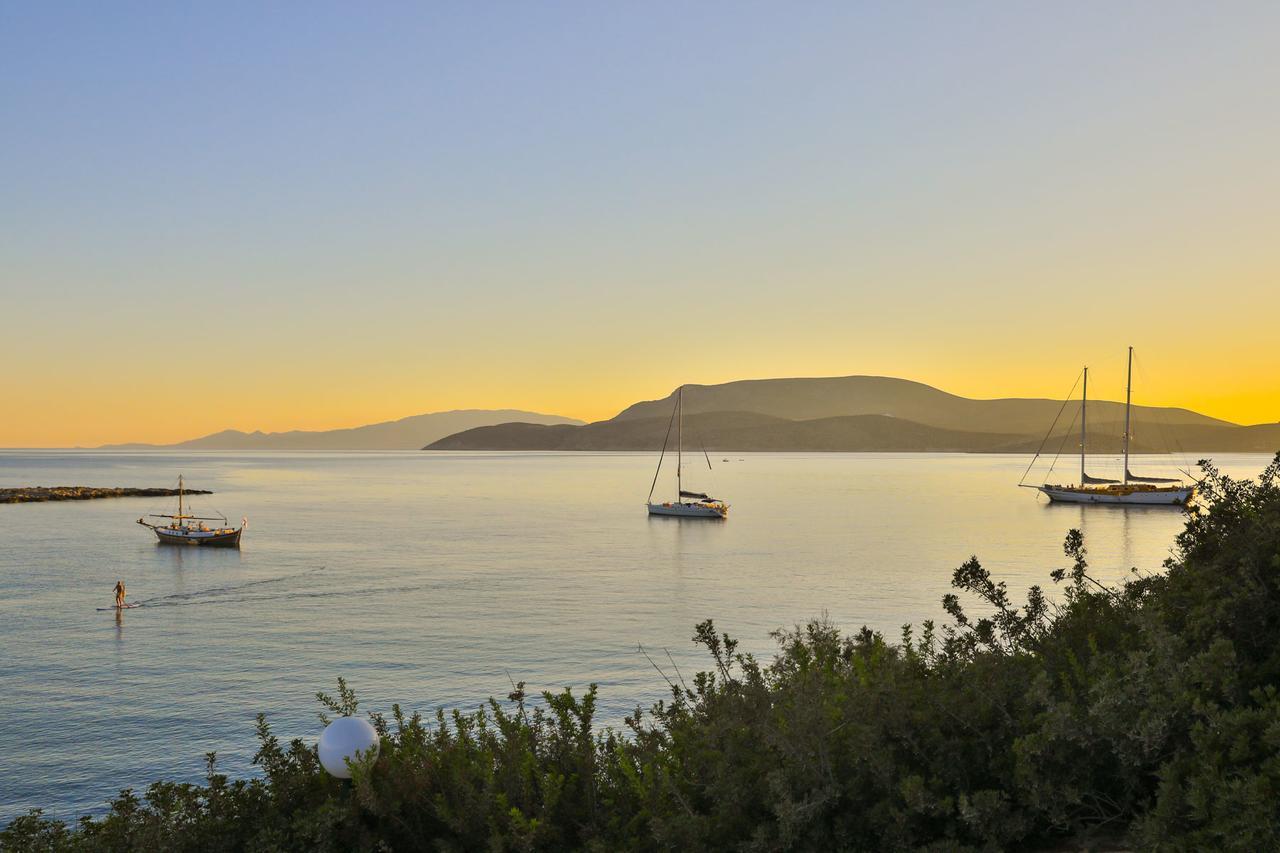 Filoxenia By Grispos Villas Schoinoussa Bagian luar foto